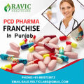 Pharma Franchise in Punjab