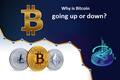Why is bitcoin going up or down? | Quicksquaddesk