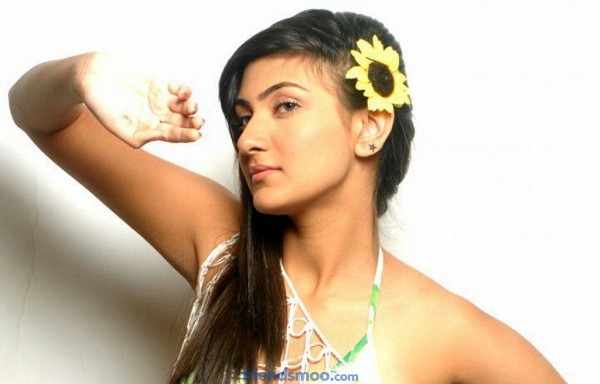 Neelam Upadhyay Photo Collection in Different Location - Friendsmoo