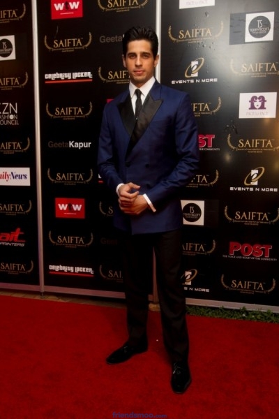 Celebrity Red Carpet Photos at Saifta Awards 2013