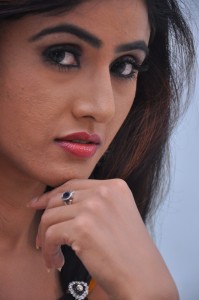 Sony Charishta Latest Hot Photos