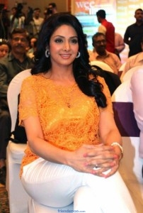 Sri Devi at Wee Store Photos