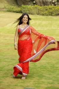 juhi Latest Photos in Red Saree - Kollywood - Friendsmoo